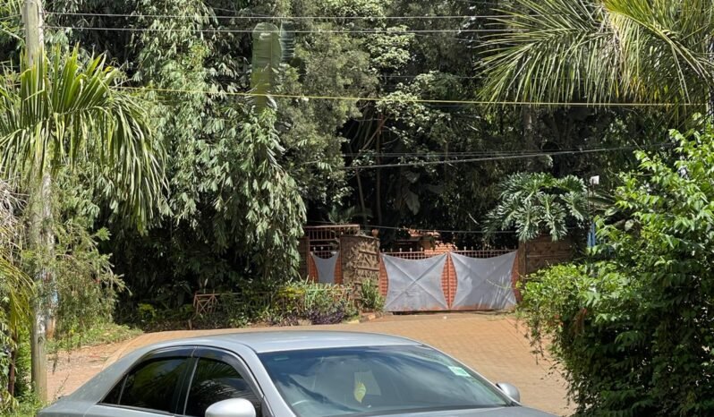 TOYOTA MARK X 2014 MODEL full